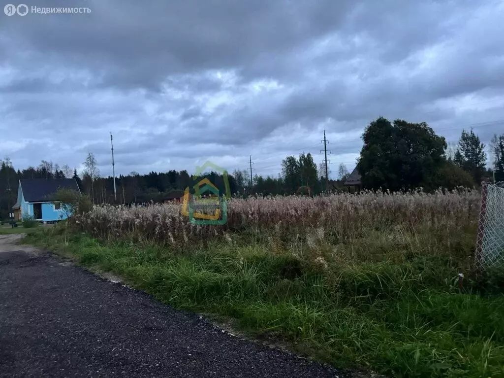Участок в Выборгский район, Рощинское городское поселение, посёлок ... - Фото 1