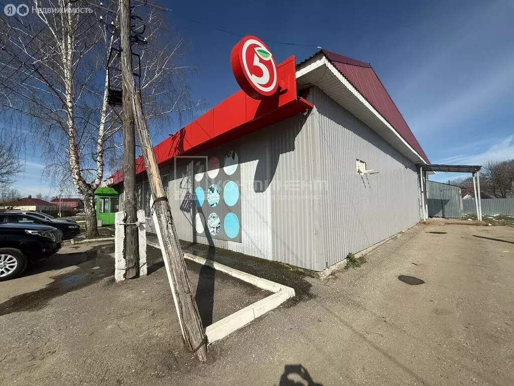 Помещение свободного назначения (536.7 м) - Фото 2