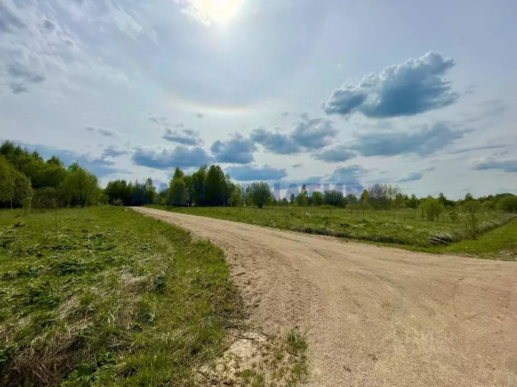 Участок в Ярославская область, Переславль-Залесский муниципальный ... - Фото 1