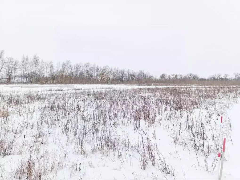 Участок в Белгородская область, Белгородский район, Хохловское с/пос, ... - Фото 1