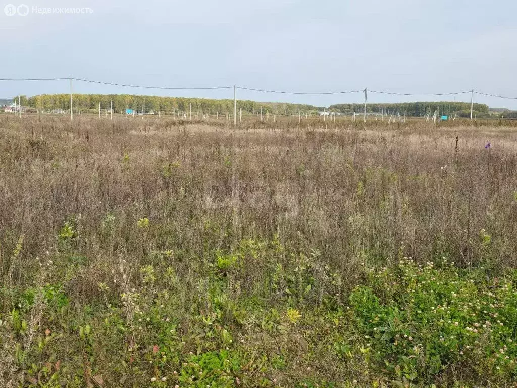 Участок в Тюменский муниципальный округ, Червишевский тракт, 7-й ... - Фото 2