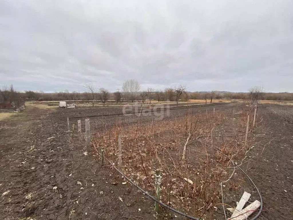 Участок в Белгородская область, Губкинский городской округ, с. ... - Фото 0