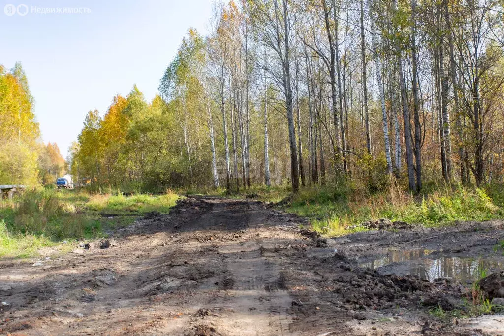 Участок в Тобольск, микрорайон Усадьба (10 м) - Фото 0