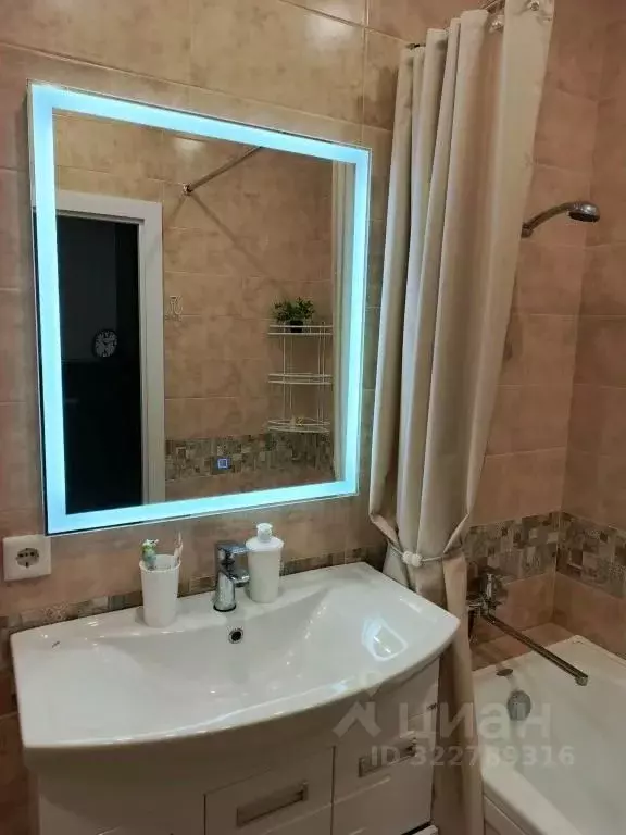 1-к кв. Пензенская область, Пензенский район, Засечный сельсовет, с. ... - Фото 1