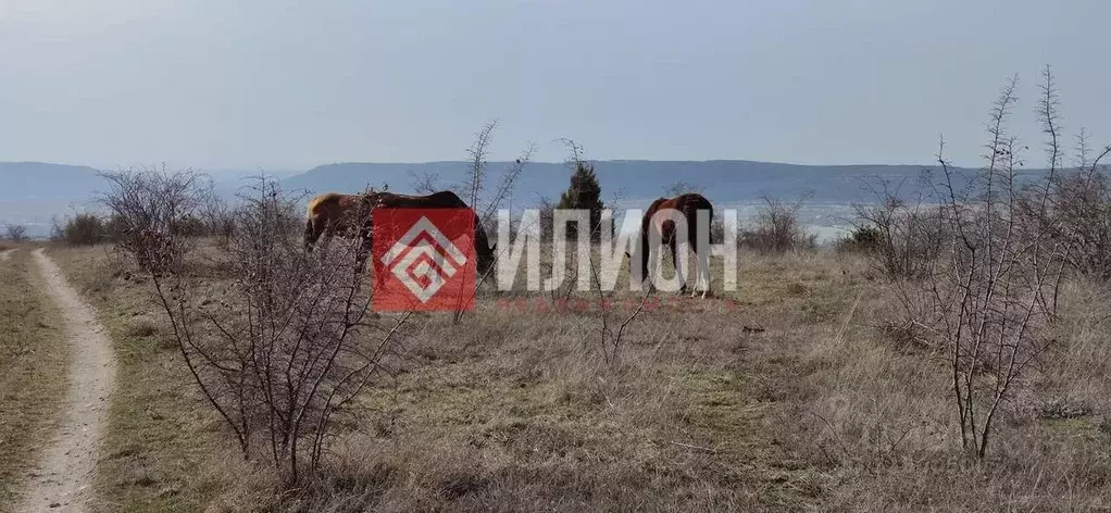 Участок в Крым, Бахчисарай пл. Ленина (6.0 сот.) - Фото 0