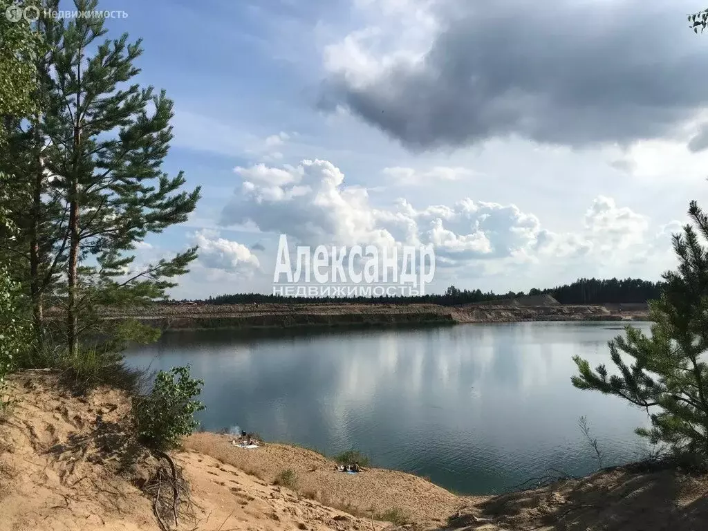 Участок в городской посёлок Рябово, Восточная улица, 37А (13 м) - Фото 2