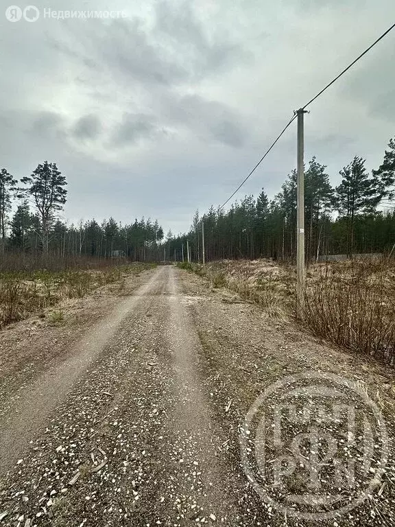 Участок в деревня Коваши, 6 (8.17 м) - Фото 1