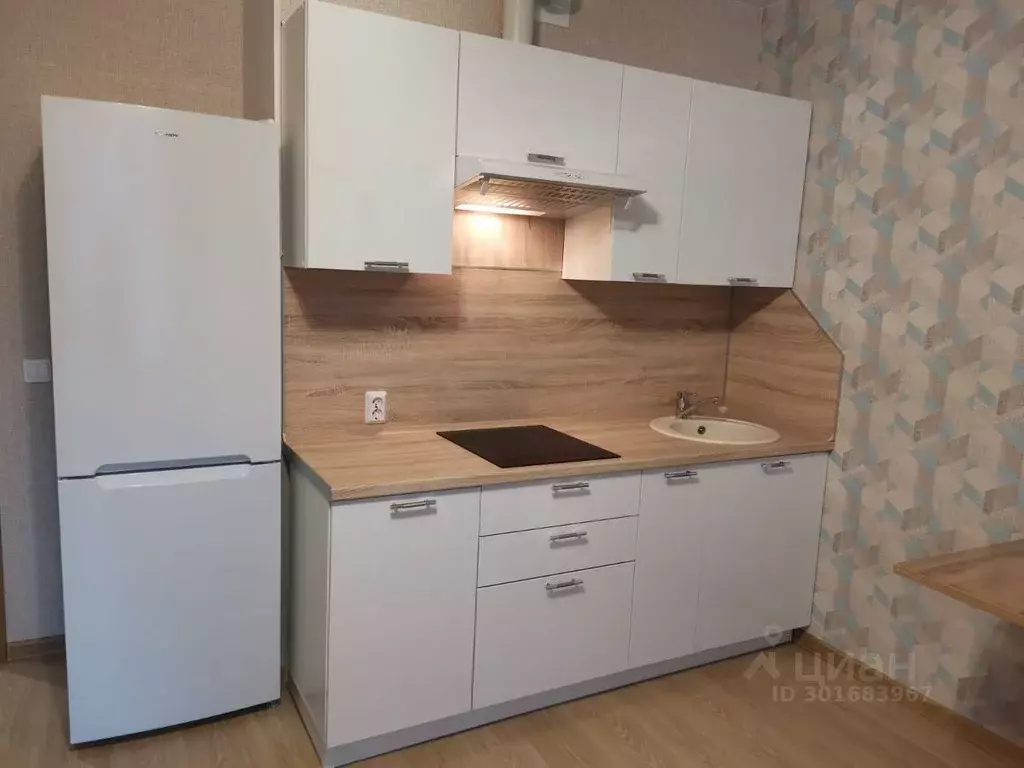 Студия Ленинградская область, Мурино Всеволожский район, просп. ... - Фото 1