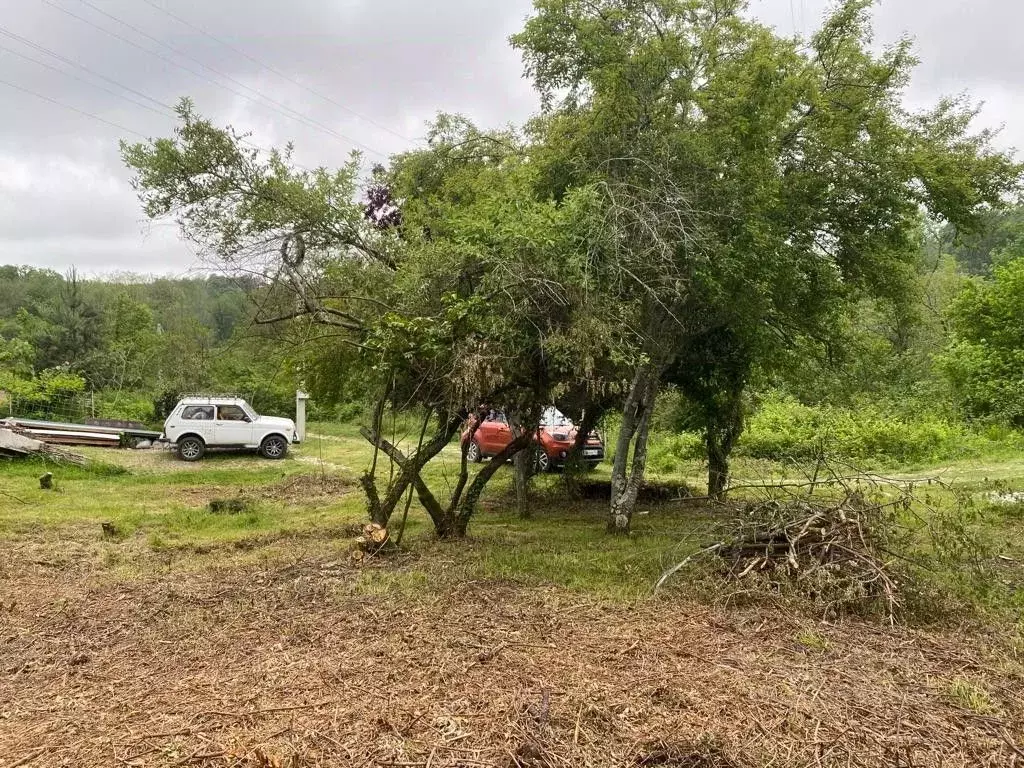 Участок в Краснодарский край, Сочи Надежда-2 СТ, 129 (5.0 сот.) - Фото 0