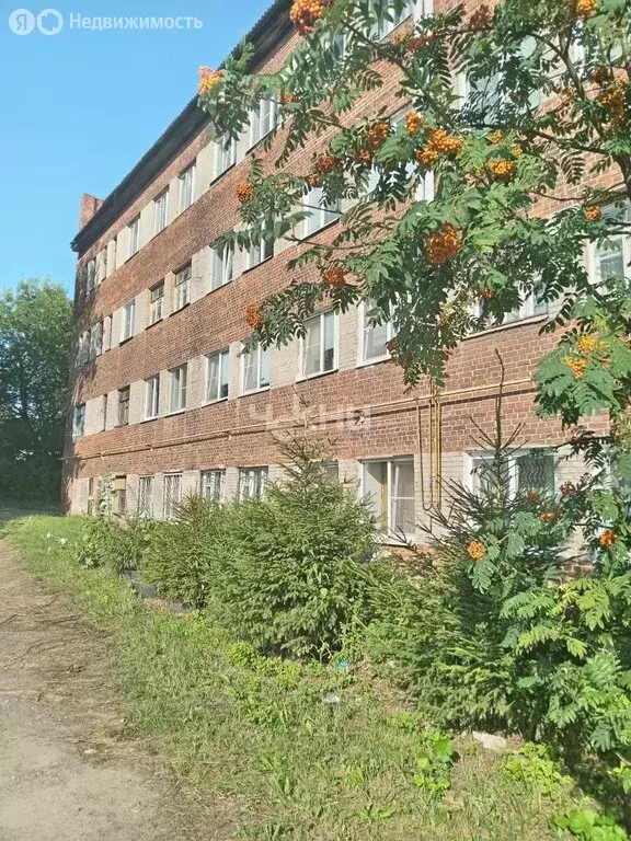 1-комнатная квартира: Балахна, улица Бумажников, 41 (16 м) - Фото 0