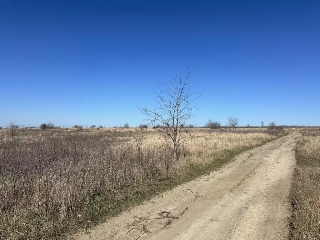 участок в краснодарский край, анапа муниципальный округ, пос. . - Фото 0