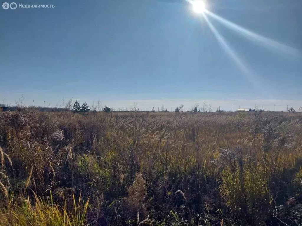 Участок в Тамбов, Интернациональная улица (7.5 м) - Фото 1