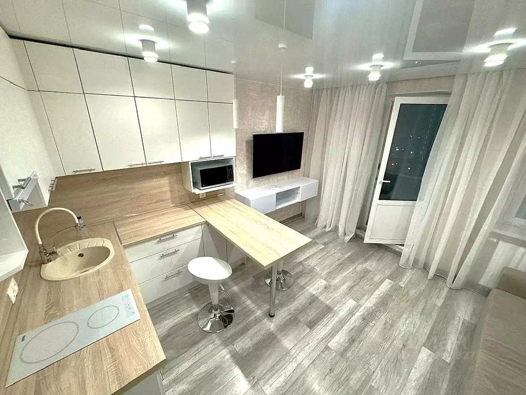 Студия Ленинградская область, Ломоносовский район, Виллозское ... - Фото 1