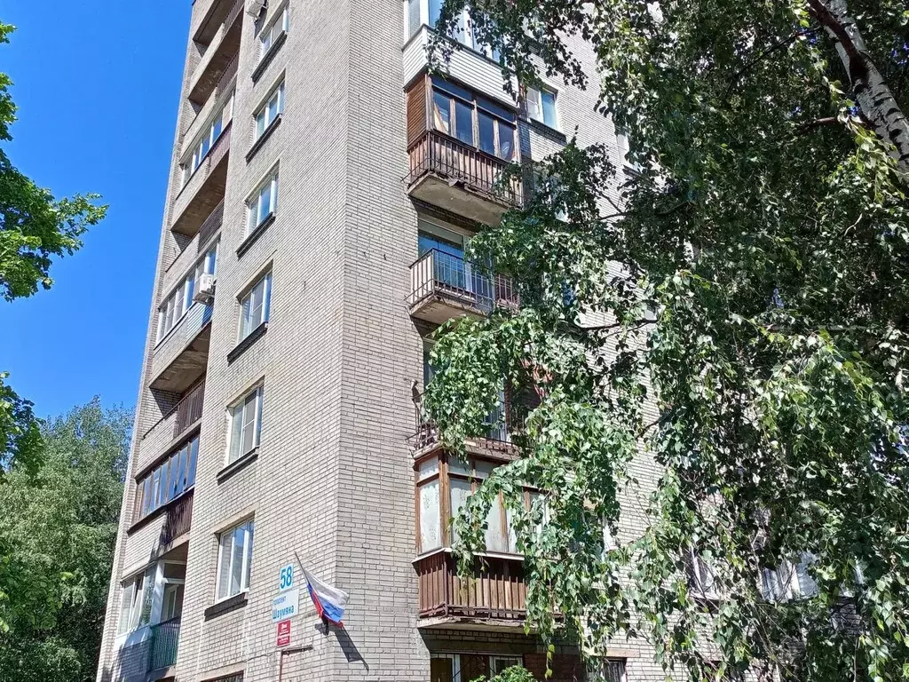 1-к кв. Санкт-Петербург просп. Шаумяна, 58 (34.5 м) - Фото 0