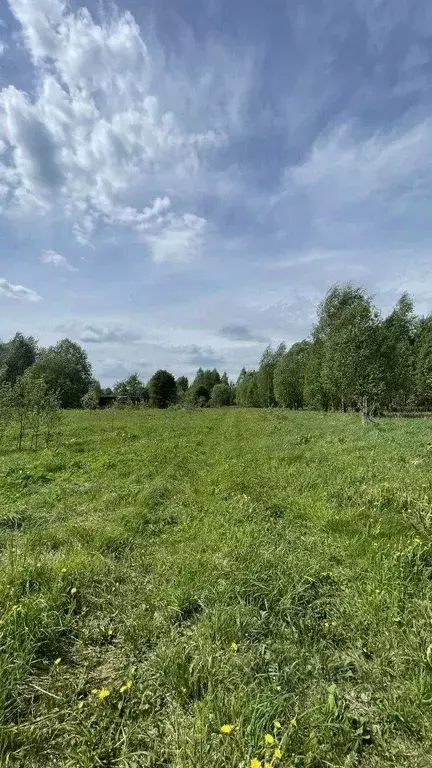 Участок в Новгородская область, Пестовский муниципальный округ, д. ... - Фото 1