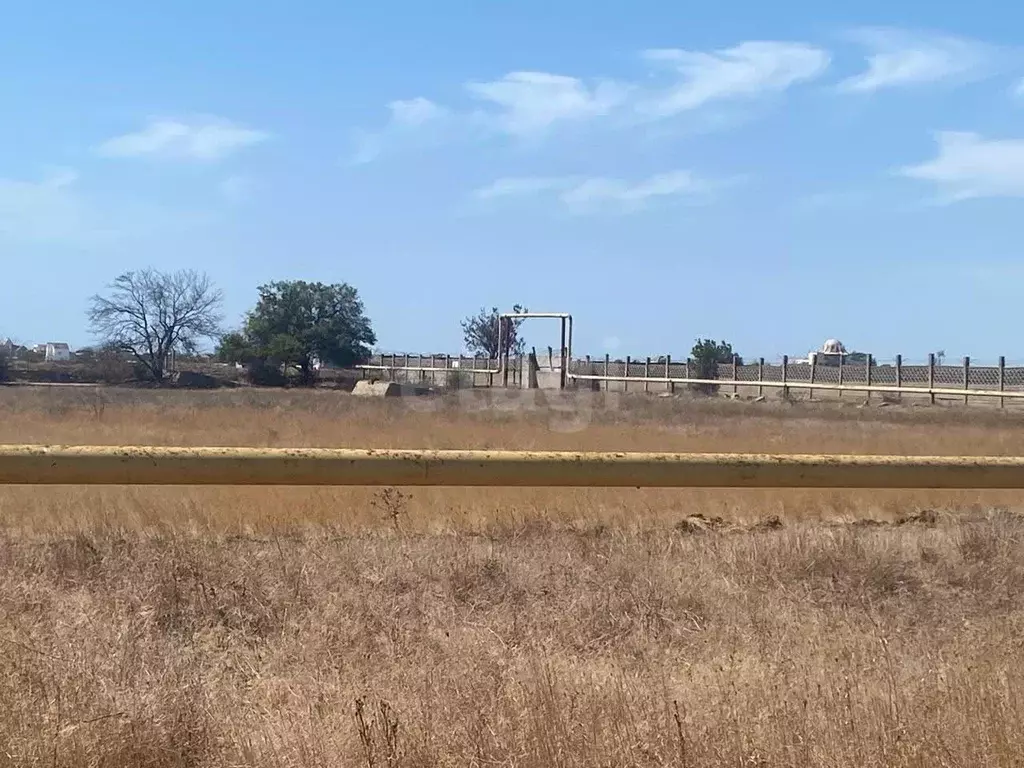 Участок в Крым, Сакский район, Молочненское с/пос, с. Витино  (10.0 ... - Фото 1