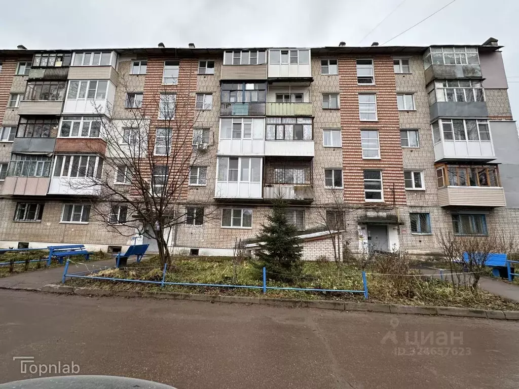 2-к кв. Нижегородская область, Кстово ул. 40 лет Октября, 19Б (40.0 м) - Фото 1