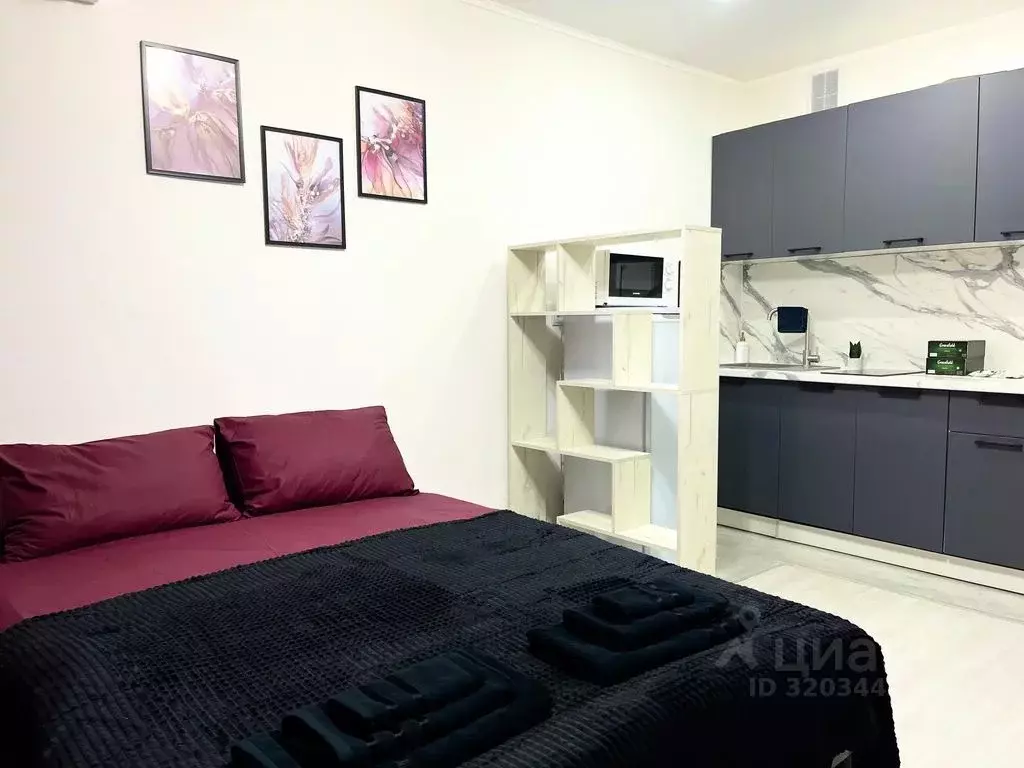 Студия Оренбургская область, Оренбург ул. Автомобилистов, 13 (22.0 м) - Фото 2
