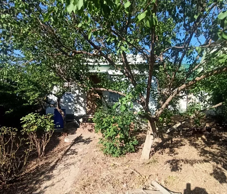 Дом в Севастополь Сосновая роща садоводческое товарищество,  (34 м) - Фото 1