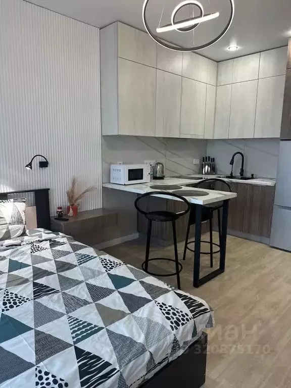 Студия Алтайский край, Барнаул Промышленная ул., 6 (26.0 м) - Фото 1