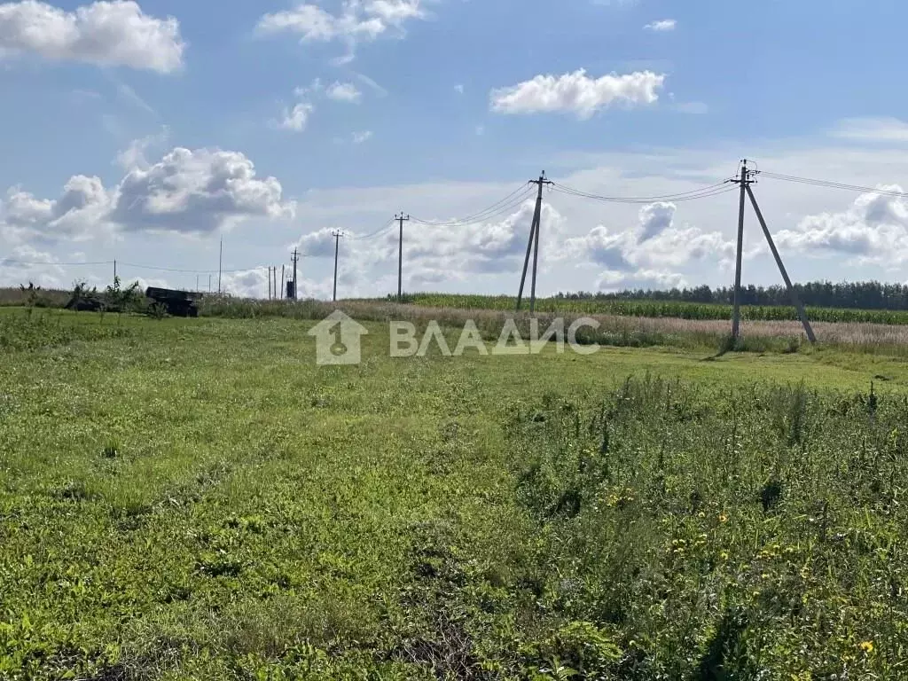 Участок в Владимирская область, Суздальский район, Павловское ... - Фото 2