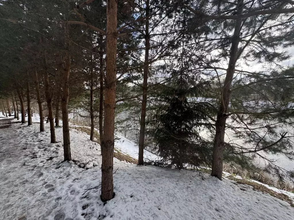 Участок в Московская область, Одинцовский городской округ, д. ... - Фото 0
