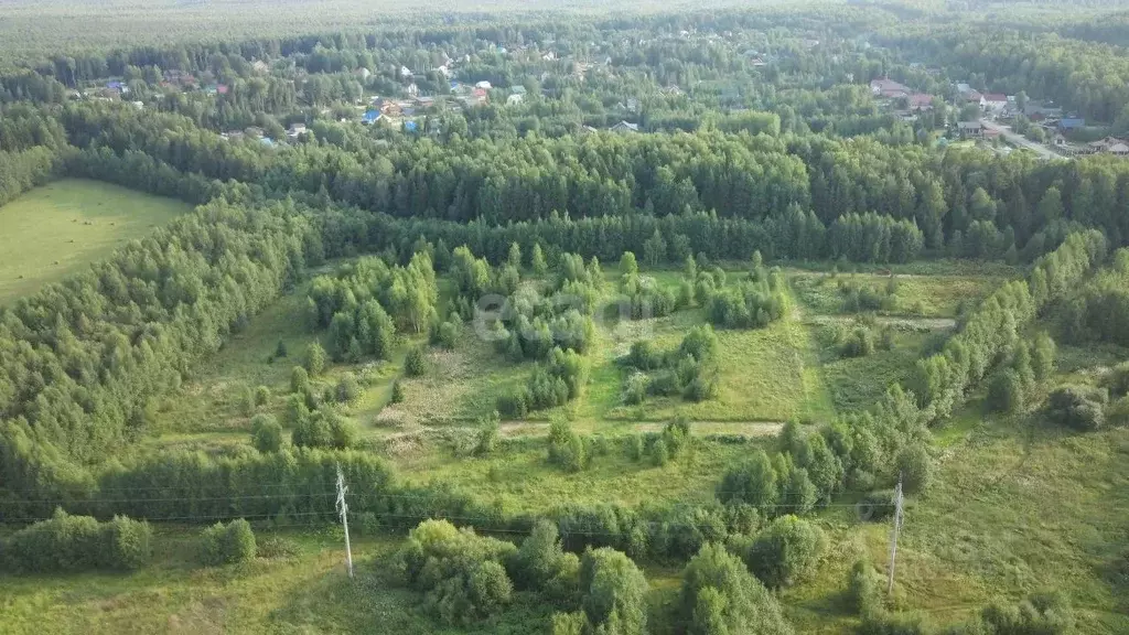 Участок в Коми, Сыктывдинский район, с. Выльгорт, Важъелью мест.  ... - Фото 2