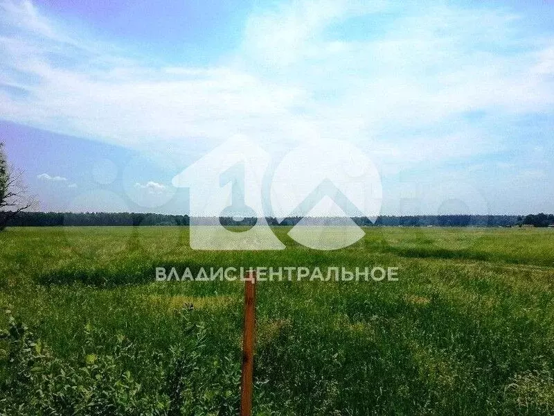 Участок 5,1 сот. (ИЖС) - Фото 1