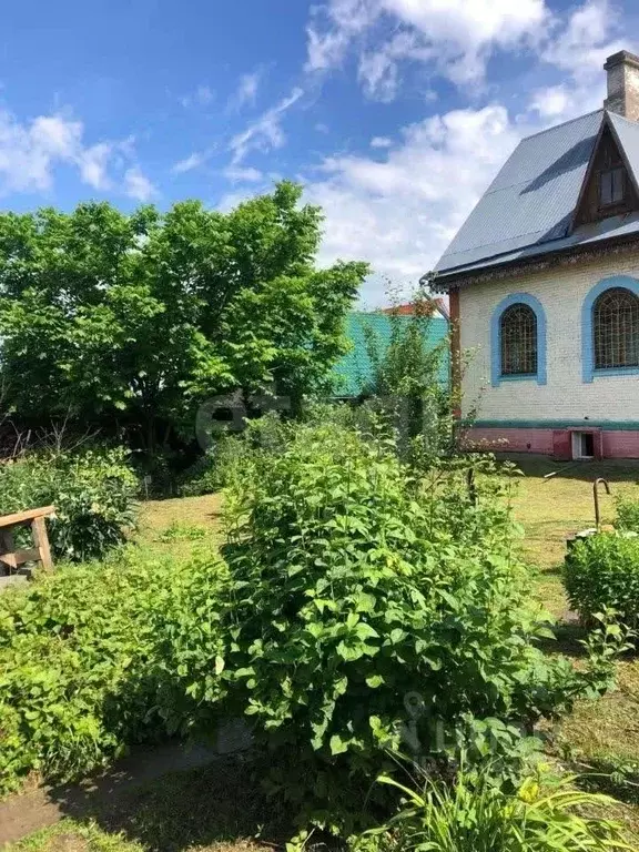 Дом в Новосибирская область, Тогучинский район, Заринка СТ ул. ... - Фото 0