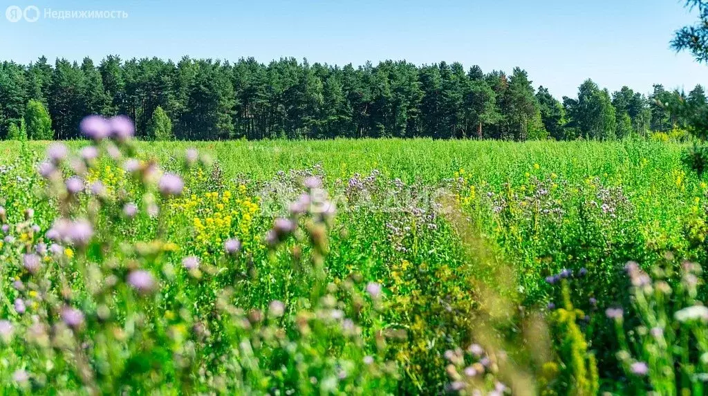 Участок в Старая Купавна, Советская улица (6.15 м) - Фото 1