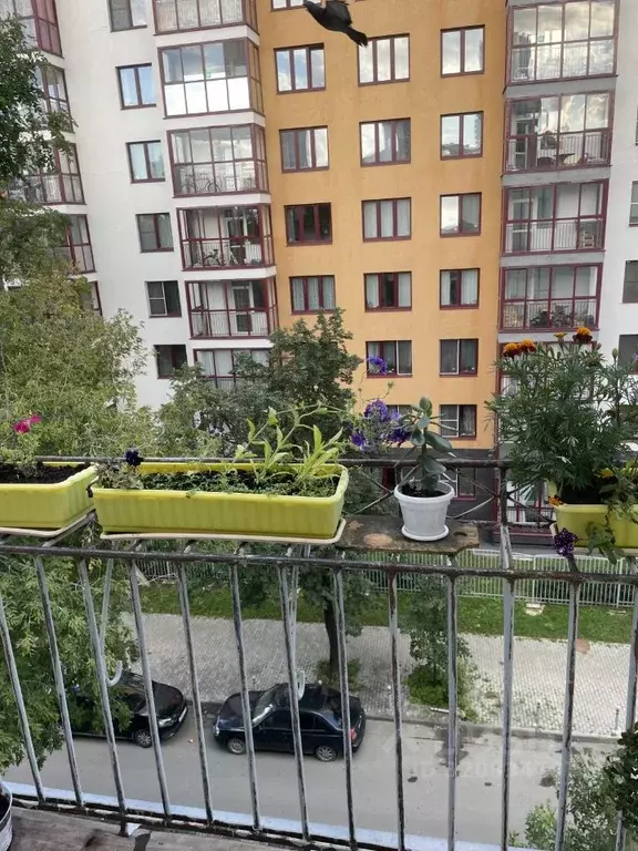 Комната Свердловская область, Екатеринбург пер. Симбирский, 7 (17.5 м) - Фото 2