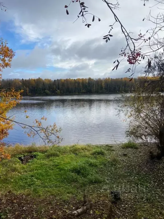 Участок в Ленинградская область, Киришский район, Глажевское с/пос, д. ... - Фото 1