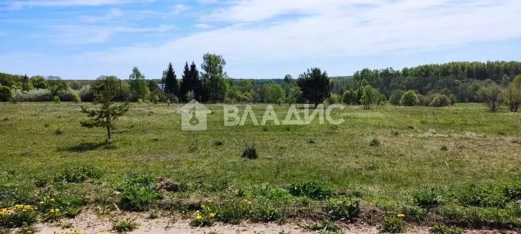 Участок в Владимирская область, Петушинский район, Пекшинское ... - Фото 2