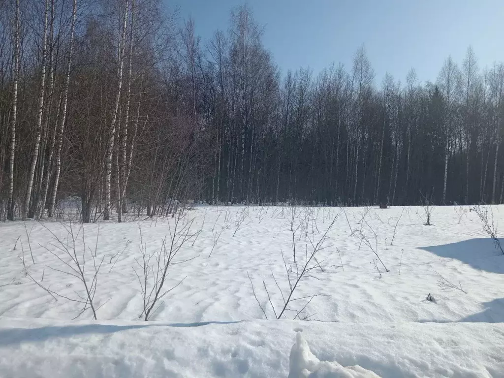 Участок в Ярославская область, Переславль-Залесский муниципальный ... - Фото 2