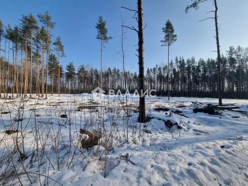 Участок в Ленинградская область, Всеволожский район, Свердловское ... - Фото 2