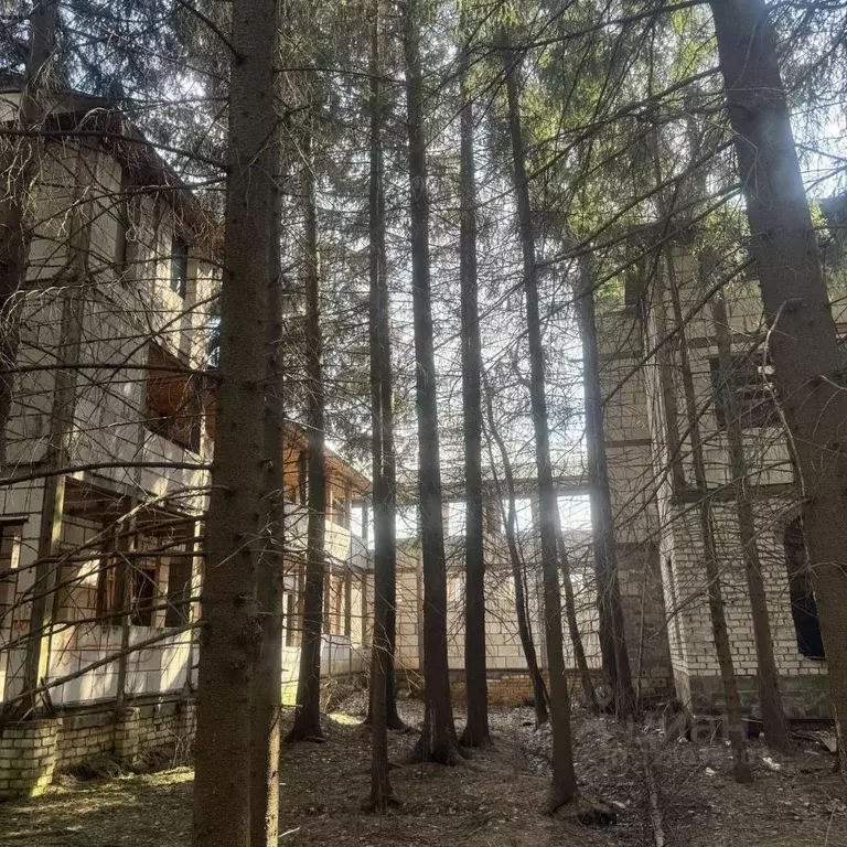 Участок в Московская область, Щелково городской округ, Заозерный СНТ ... - Фото 2