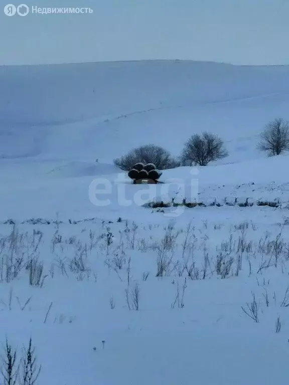 Участок в Майминский район, посёлок Алфёрово (9.8 м) - Фото 2
