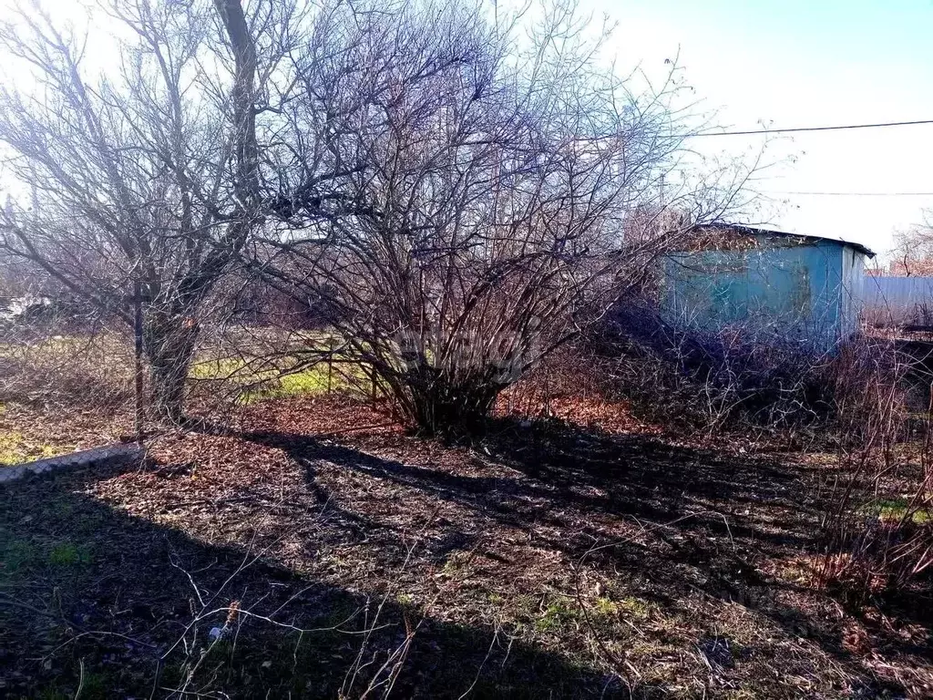 Участок в Краснодарский край, Ейское городское поселение, пос. ... - Фото 2