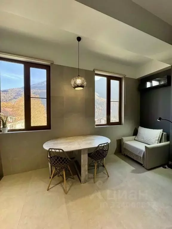 2-к кв. Краснодарский край, Сочи Красная Поляна пгт, ул. Турчинского, ... - Фото 2