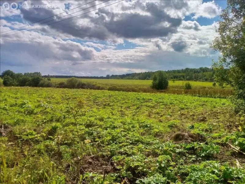 Участок в Тарасово, 5-я линия, 106 (24 м) - Фото 0