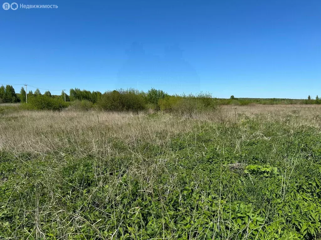 Участок в Верхнее Дуброво, улица Свободы (630 м) - Фото 2