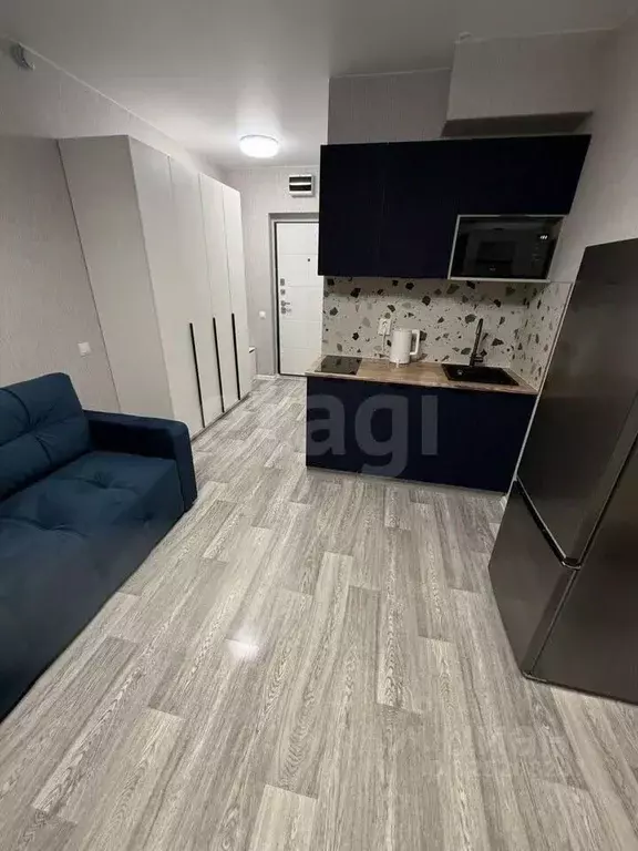 Студия Новосибирская область, Новосибирский район, Станционный ... - Фото 2