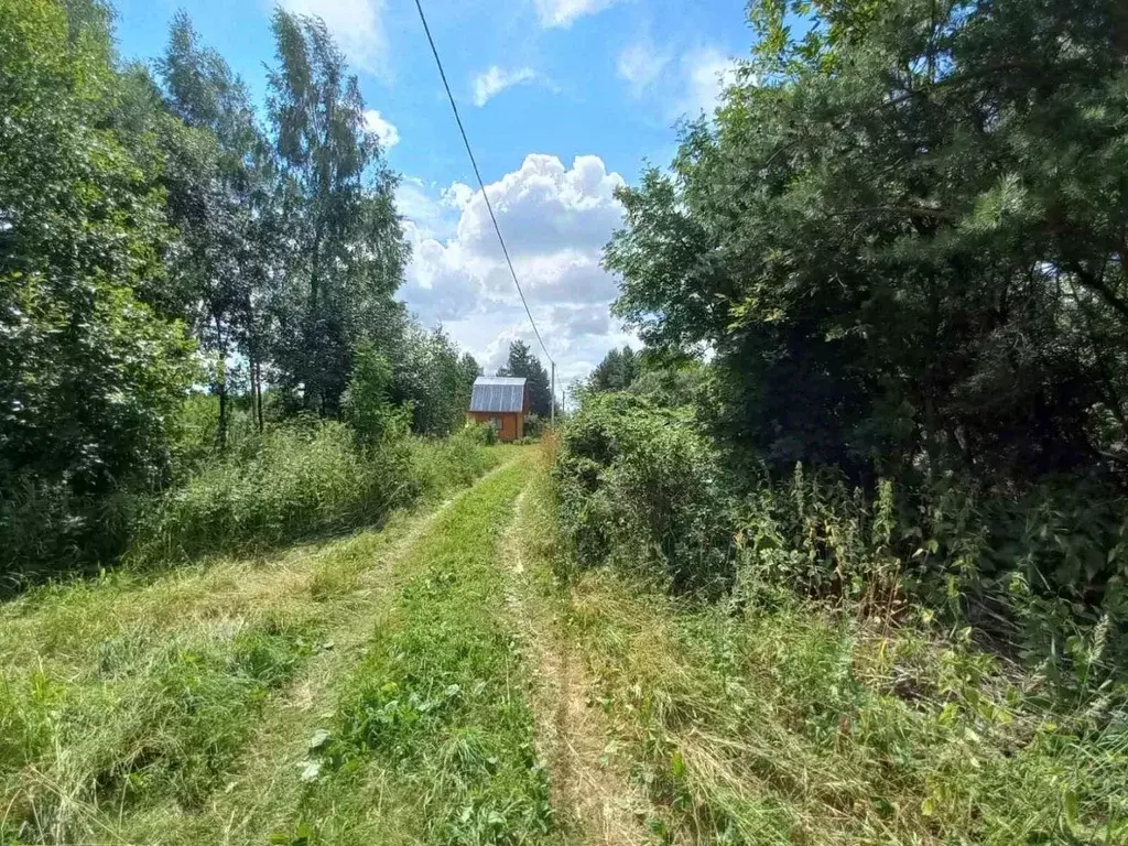 Участок в Владимирская область, Суздальский район, Селецкое ... - Фото 1