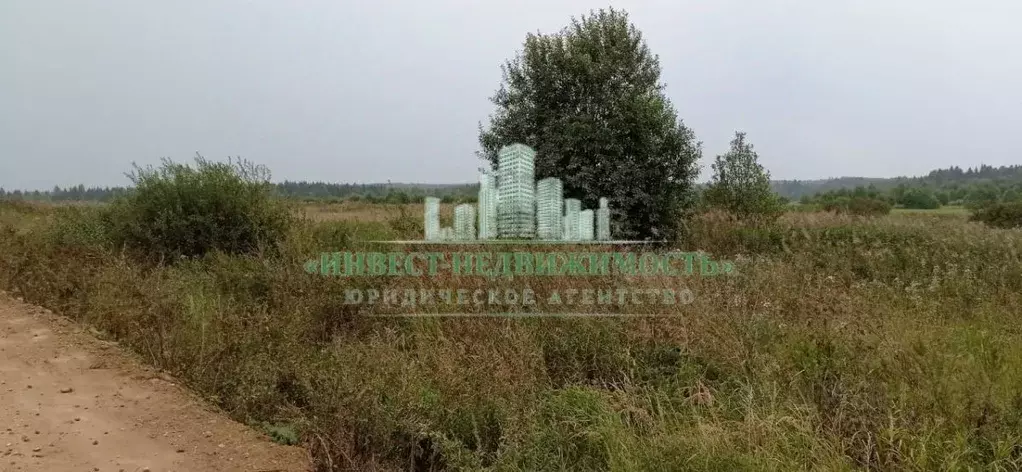 Участок в Владимирская область, Александровский район, ... - Фото 0