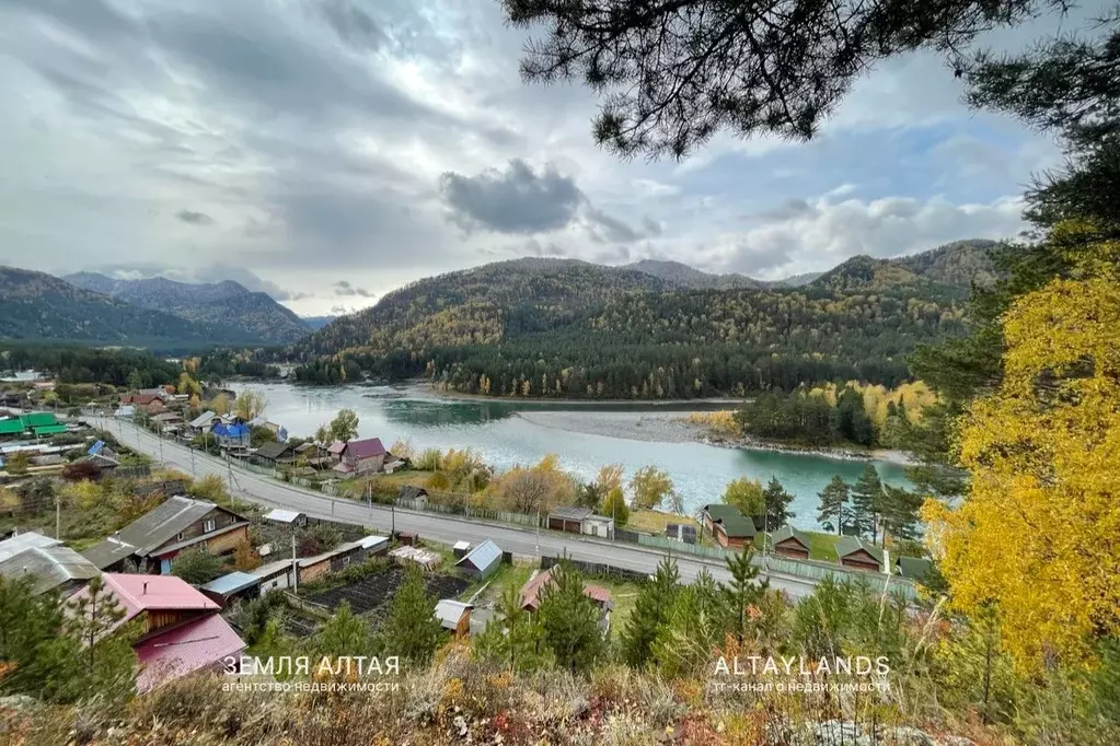 Участок в Алтай, Майминский район, с. Усть-Муны Родниковый пер. (37.5 ... - Фото 1