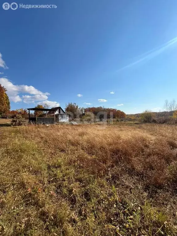 Участок в Амурская область, Благовещенск (10 м) - Фото 1