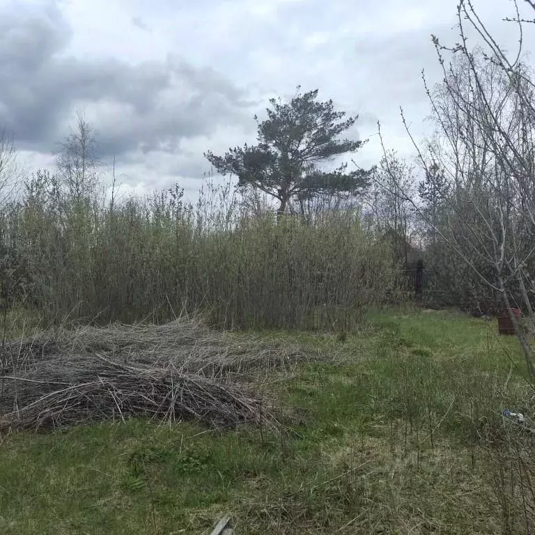 Участок в Пермский край, Пермь Речник-1 СНТ, 102 (7.5 сот.) - Фото 1