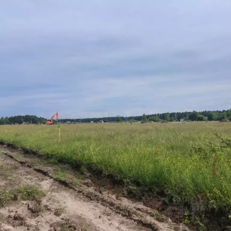 Участок в Московская область, Богородский городской округ, Следово кп ... - Фото 1