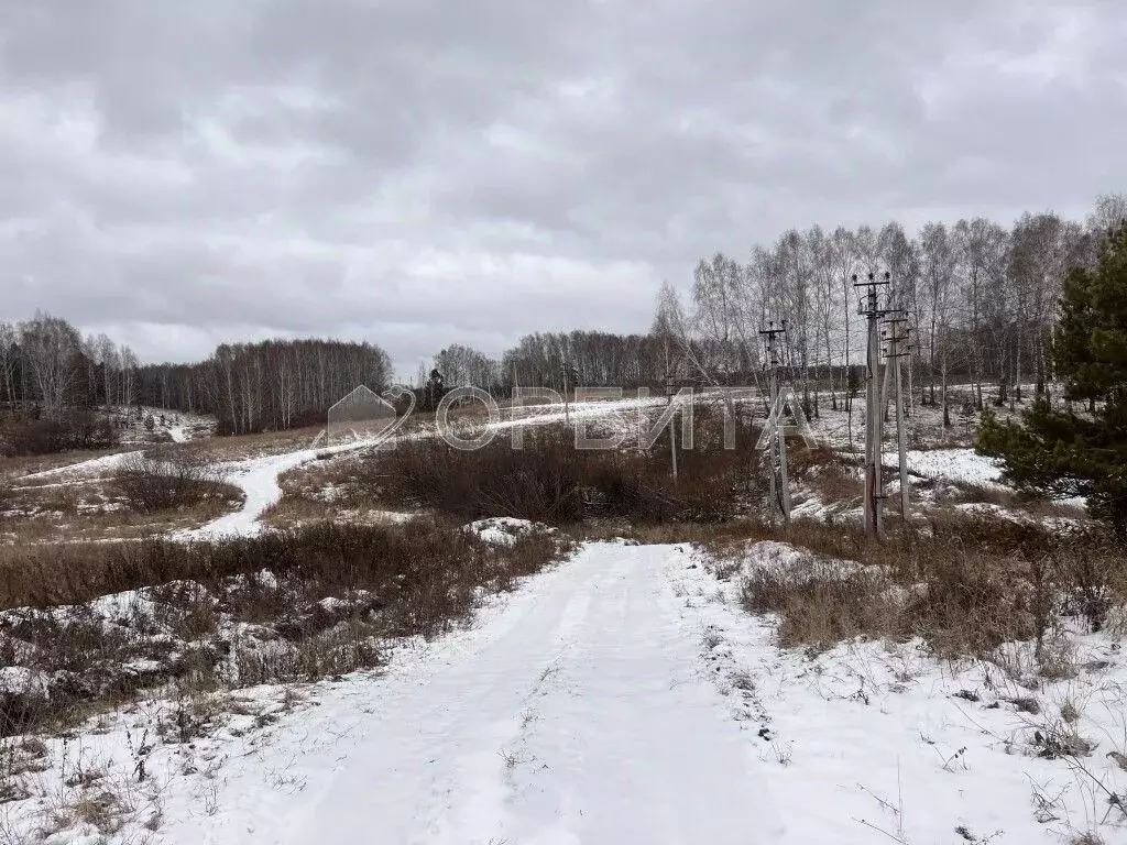 Участок в Тюменская область, Тюменский муниципальный округ, ... - Фото 1