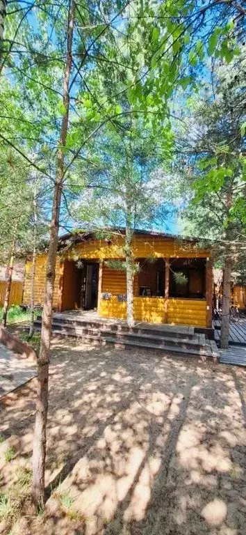 Дом в Архангельская область, Шенкурск ул. Богового, 32с3 (30 м) - Фото 1